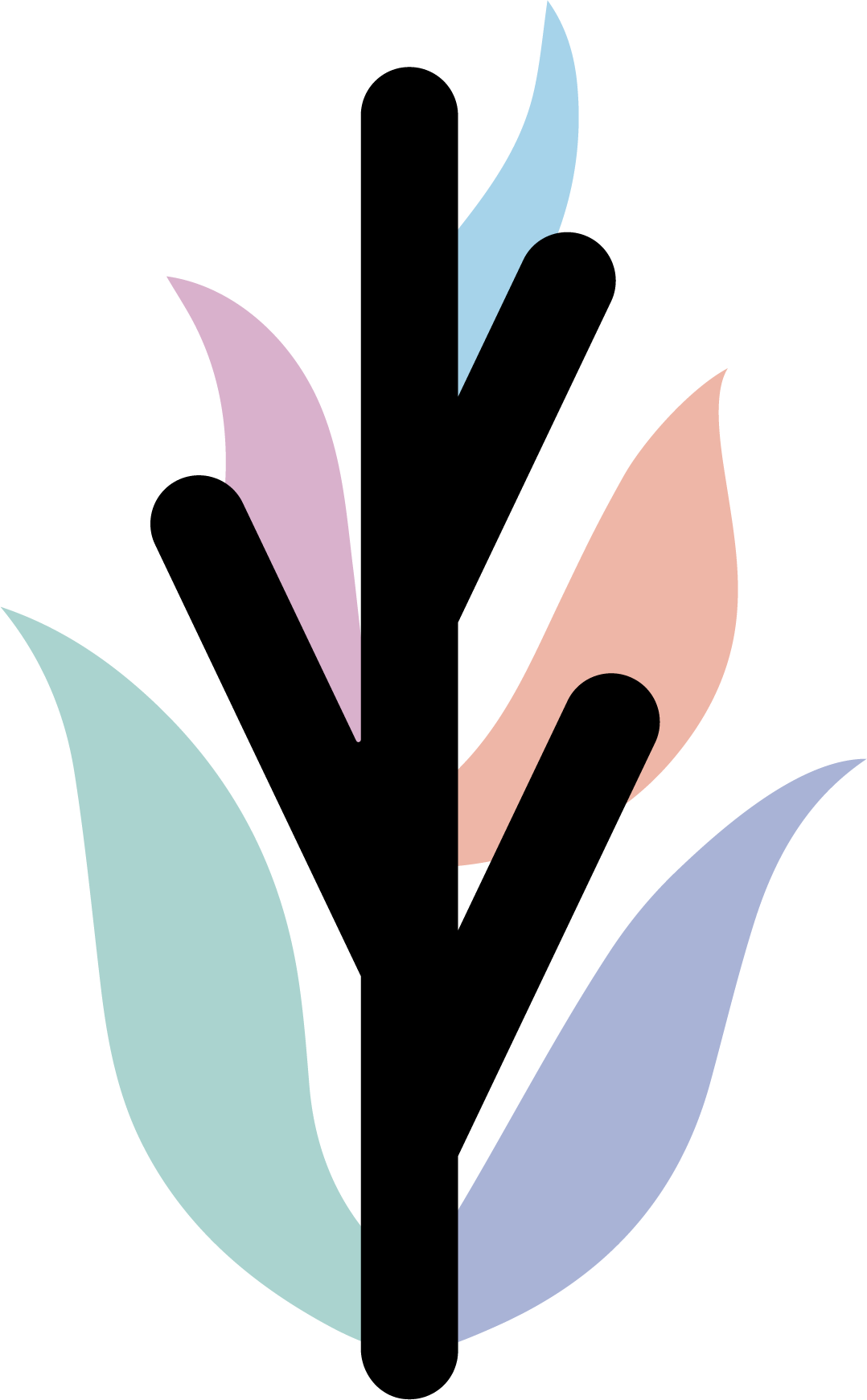 logo studio témoins site